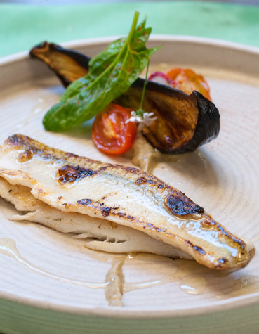 Plato Gourmet Pescado